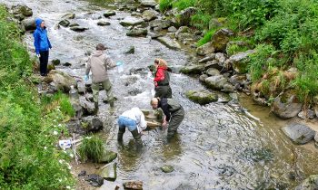 Ecosystems are stressed