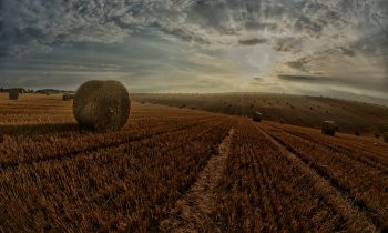 L’agricoltura del futuro secondo il CER