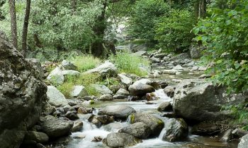 Giornata sui deflussi ecologici nel distretto del fiume Po