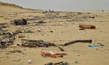 Cigarette butts the most common litter on Europe’s beaches