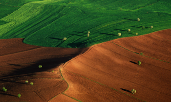 IPCC Special Report su cambiamenti climatici e territorio