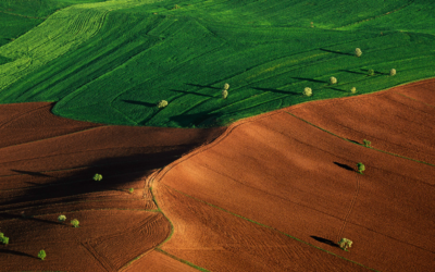 IPCC Special Report su cambiamenti climatici e territorio