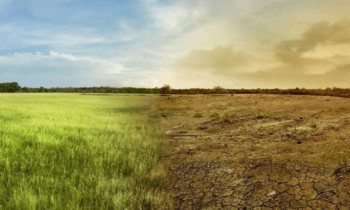 Settimana Laudato sì – Testimonianza dal Gruppo Esperto Azione Clima